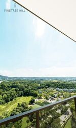 Pine Grove (D21), Condominium #591676821